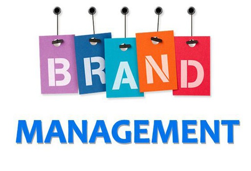 [SVC0067] Quản trị website 50/50
